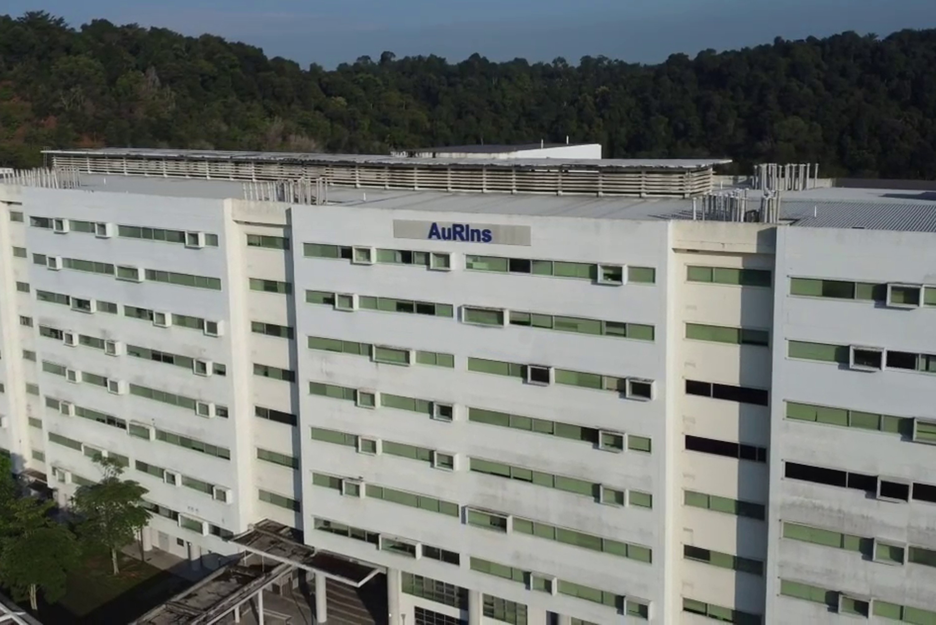 aurins-2